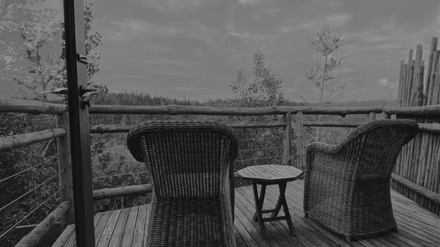 Black and white view of two wicker chairs and a small table on a wooden deck with a log railing, above trees and a cloudy sky.