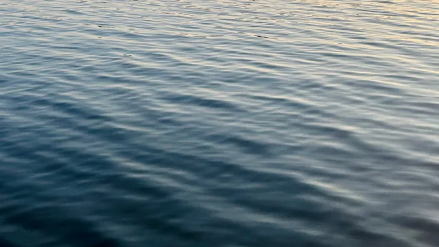Gently rippled water in dark blue and grey, with pale gold light along the upper edge.