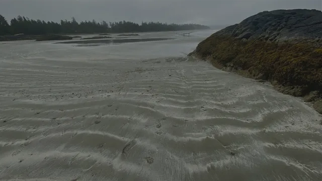 Rippled wet sand with footprints stretches toward a tree-lined shore under a grey, misty sky, with a seaweed-covered rock on the right.